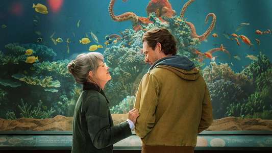 Remarkably Bright Creatures - Backdrops