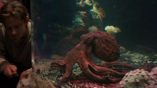 Remarkably Bright Creatures - Backdrops