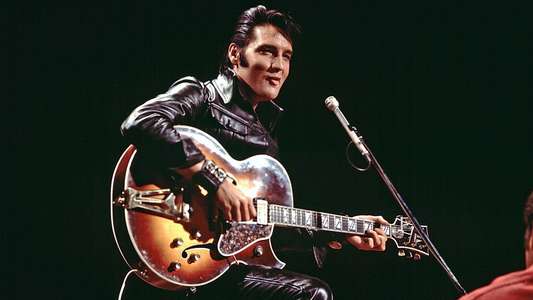 EPiC: Elvis Presley in Concert - Backdrops