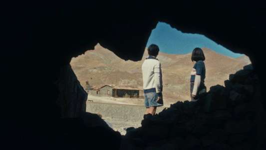 The Mysterious Gaze of the Flamingo - Backdrops