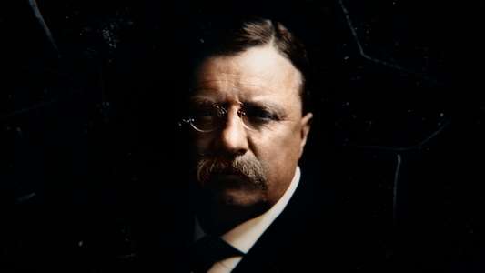 Theodore Roosevelt - Backdrops