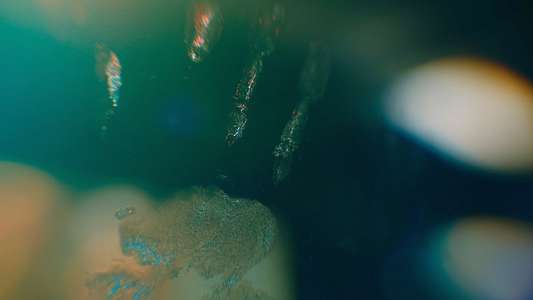 Remarkably Bright Creatures - Backdrops