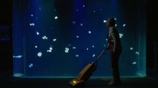 Remarkably Bright Creatures - Backdrops