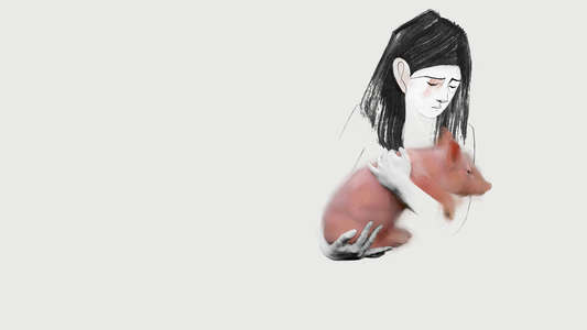 Letter to a Pig - Backdrops