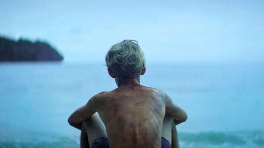 Lord of the Flies - Backdrops