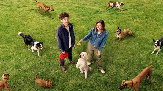 Dog Park - Backdrops