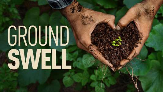 Groundswell - Backdrops