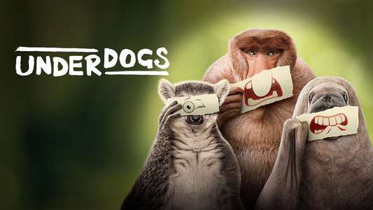 Underdogs - Backdrops