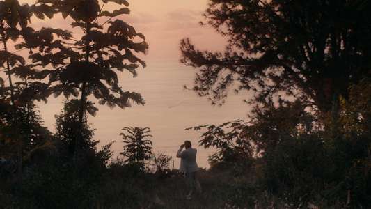 Pacifiction - Backdrops