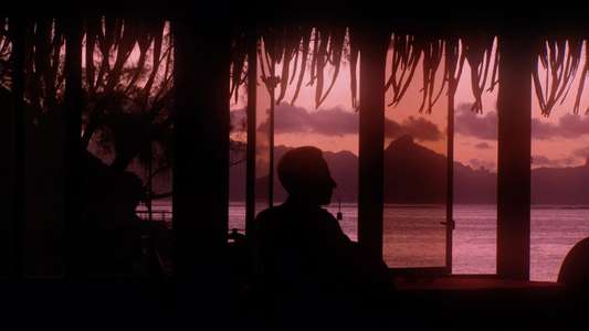 Pacifiction - Backdrops