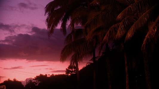 Pacifiction - Backdrops