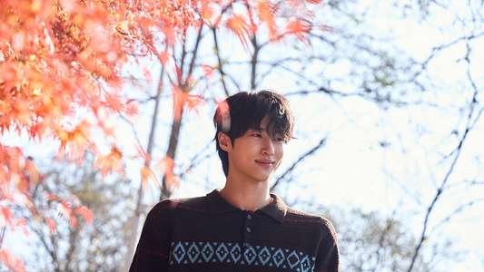 Jae-seok's B&B Rules! - Backdrops