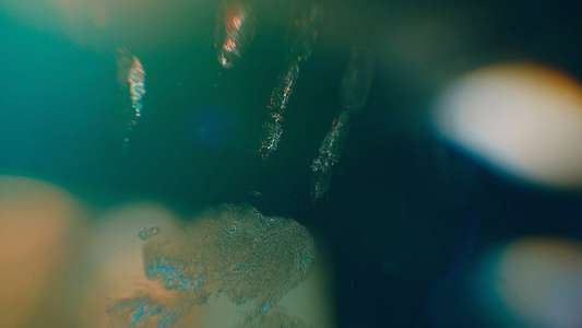 Remarkably Bright Creatures - Backdrops