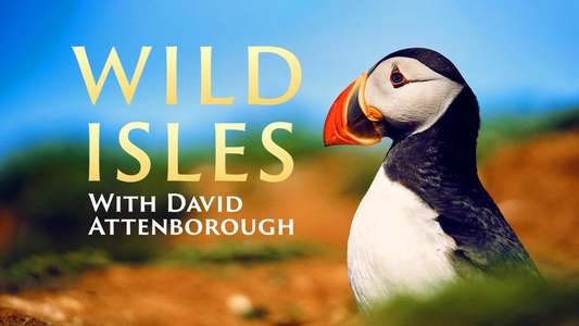 Wild Isles - Backdrops