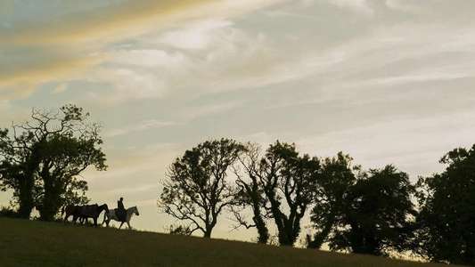 A Knight of the Seven Kingdoms - Backdrops