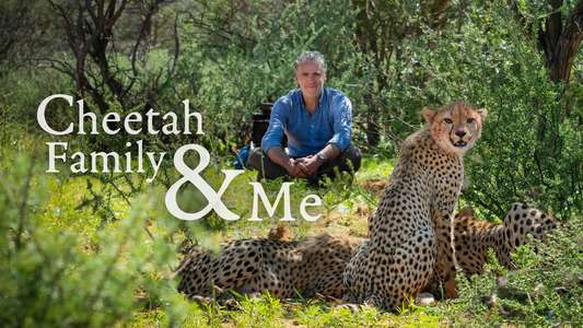 Cheetah Family And Me - Backdrops