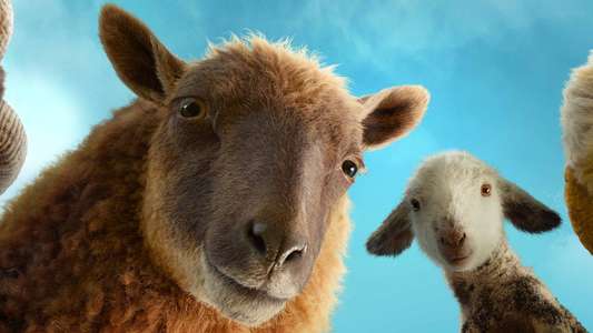 The Sheep Detectives - Backdrops