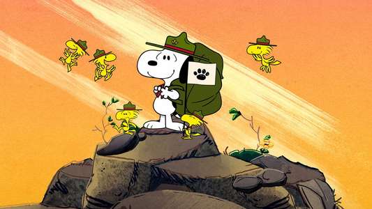 Camp Snoopy - Backdrops