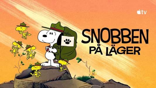 Camp Snoopy - Backdrops