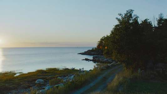 Widow's Bay - Backdrops