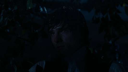  Wuthering Heights  - Backdrops