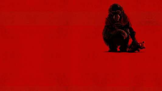 Primate - Backdrops