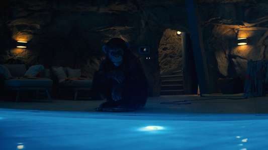 Primate - Backdrops