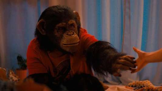 Primate - Backdrops