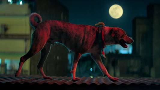 Ohh My Dog - Backdrops