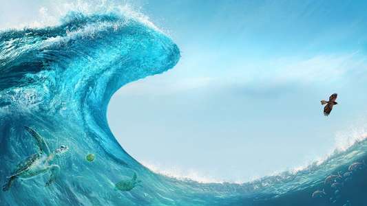 Moana - Backdrops