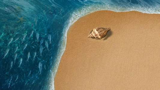 Moana - Backdrops