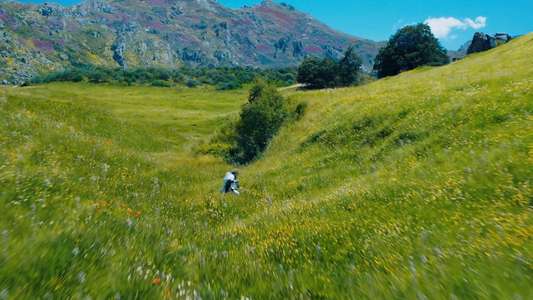The Hunger Games: Sunrise on the Reaping - Backdrops
