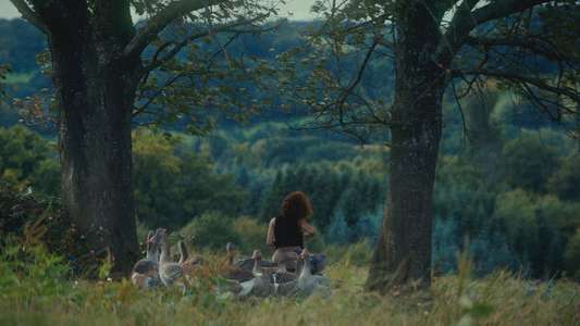 The Hunger Games: Sunrise on the Reaping - Backdrops