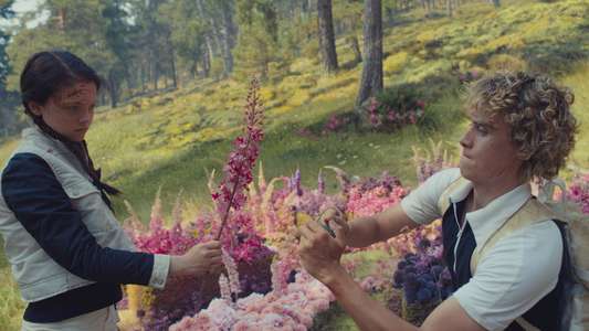 The Hunger Games: Sunrise on the Reaping - Backdrops