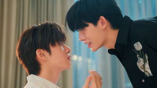 Duang with You - Backdrops