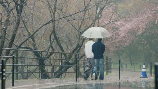 Duang with You - Backdrops