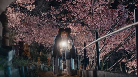 Duang with You - Backdrops