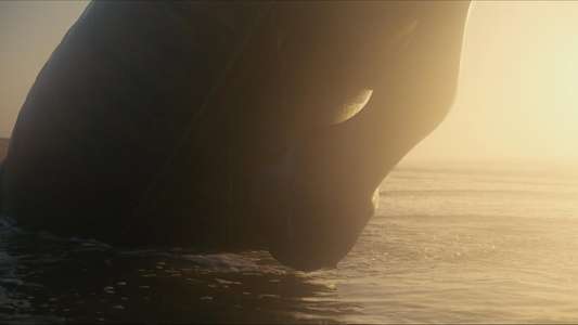 The Odyssey - Backdrops