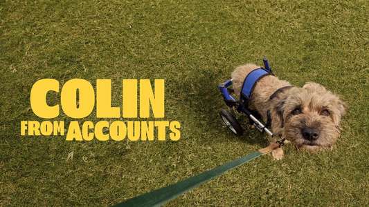 Colin from Accounts - Backdrops