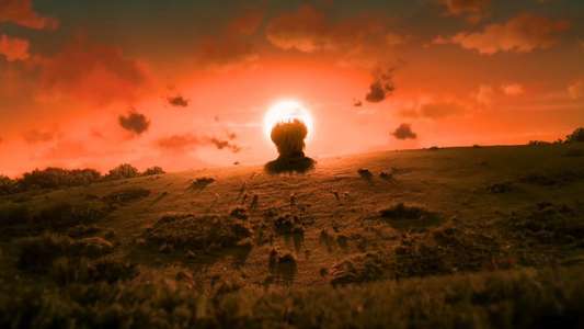 Shaun the Sheep: The Beast of Mossy Bottom - Backdrops