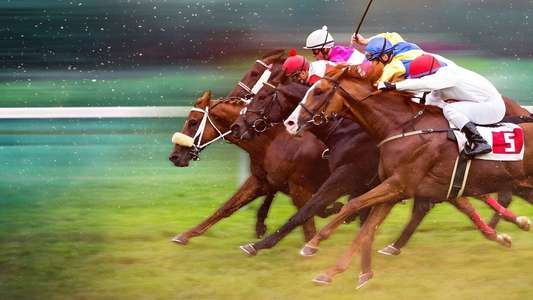 Race for the Crown - Backdrops