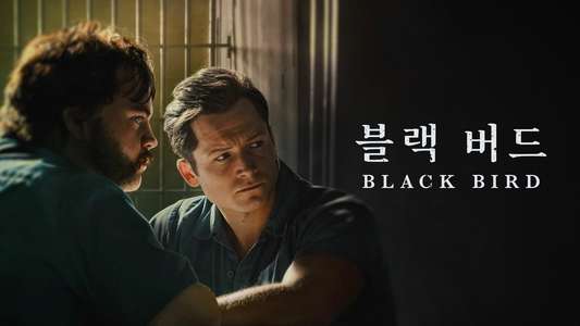 Black Bird - Backdrops