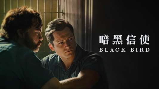 Black Bird - Backdrops