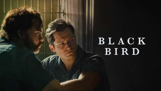 Black Bird - Backdrops