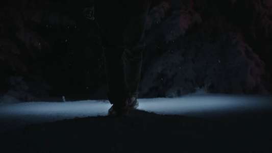 Resident Evil - Backdrops