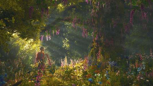 The Magic Faraway Tree - Backdrops