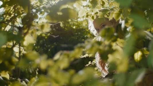 The Magic Faraway Tree - Backdrops