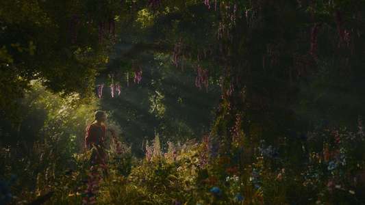 The Magic Faraway Tree - Backdrops