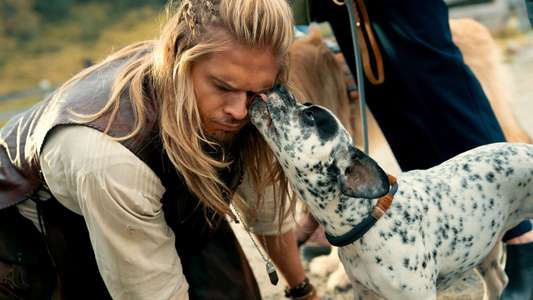 Eat Pray Bark - Backdrops