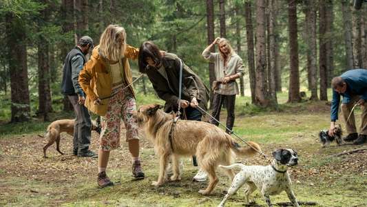 Eat Pray Bark - Backdrops